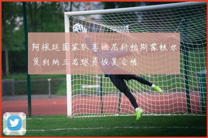 阿根廷国家队喜讯尼科帕斯蒙铁尔莫利纳三名球员恢复合练